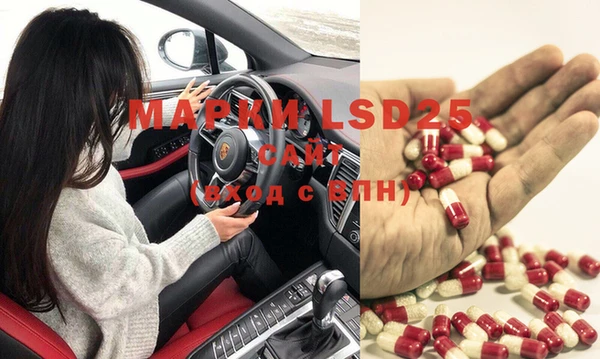 ГАЛЛЮЦИНОГЕННЫЕ ГРИБЫ Алзамай