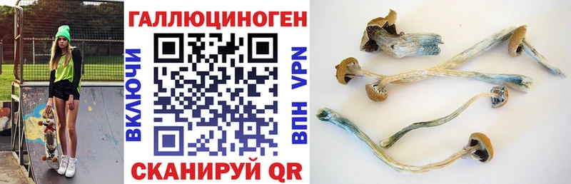Псилоцибиновые грибы MAGIC MUSHROOMS  Калач-на-Дону 
